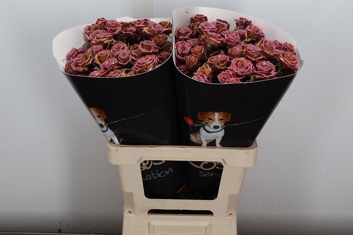 <h4>Wax-Rozen Wax Wit  Zilver glitter</h4>