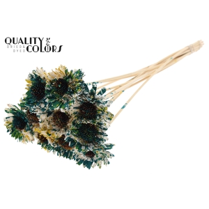 Shola Daisy Sunflower 6cm on stem Multicolour Green/Yellow