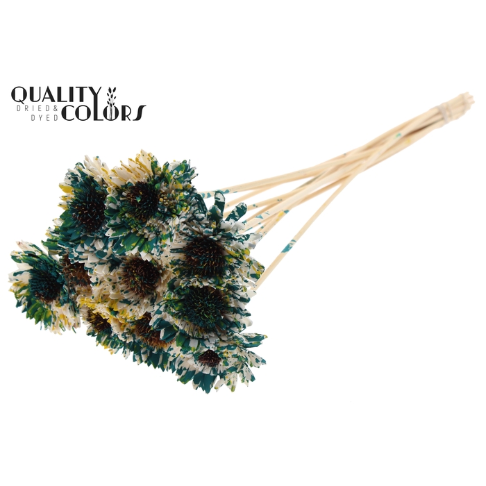 <h4>Shola Daisy Sunflower 6cm on stem Multicolour Green/Yellow</h4>