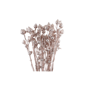 Stingball Klb Rose Gold