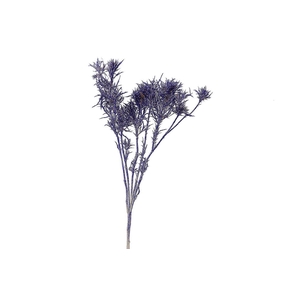 Dried Artz Cardi Matisse Bunch