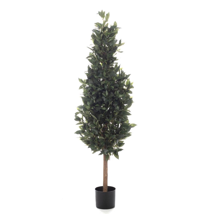 <h4>AF Laurus Nobilis pot H150cm G</h4>