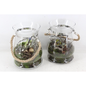 arr4 Bollenmix MB - Glazen windlicht 338/6