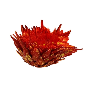 Dried Artz Cynara Heads Picasso