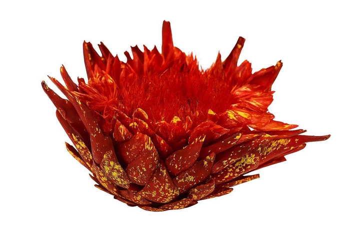 Dried Artz Cynara Heads Picasso