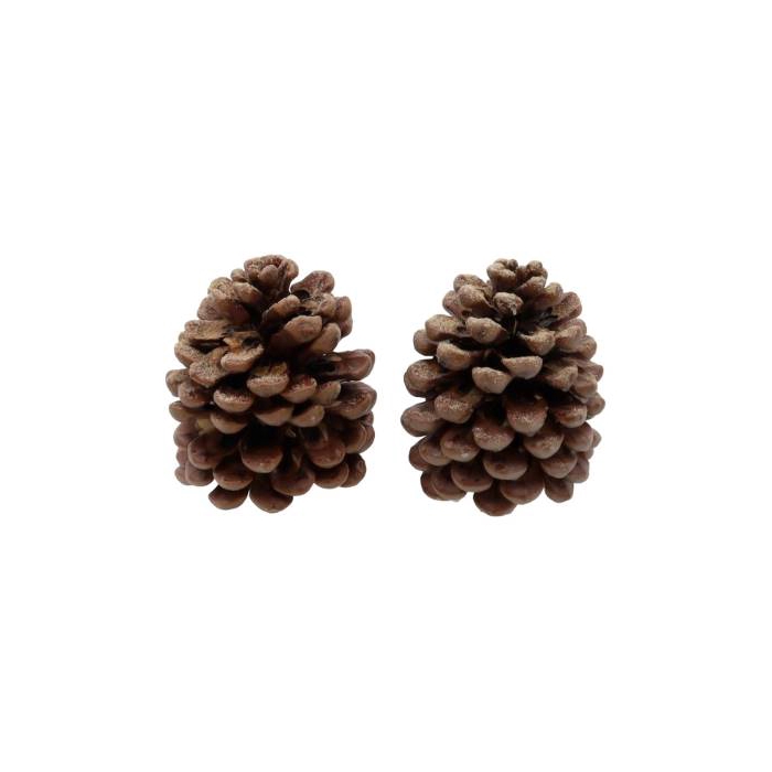 <h4>Pinecone Pinea Scented Amber 2 Pcs Slv L19W12H14</h4>