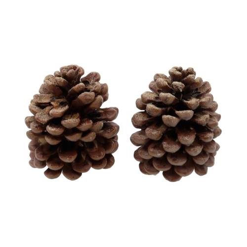 Pinecone Pinea Scented Amber 2 Pcs Slv L19W12H14