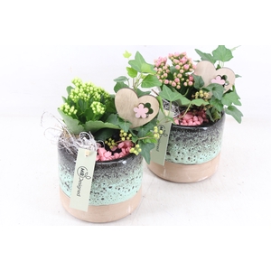 arr2 MB - Ker. pot luxe green x8 - roze/wit