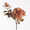 AF Rosa Dried x2 L79cm Peach