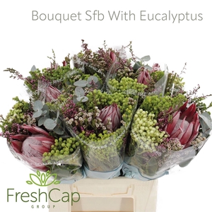 Bouquet Cynaroides Sfb