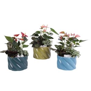 Yearround Arr. Indoor Ceramic Fresh Breeze FB674 Ø17cm 3PP