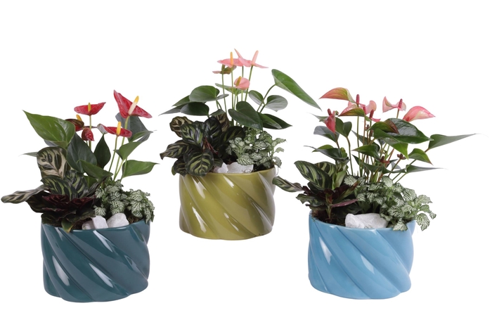 <h4>Yearround Arr. Indoor Ceramic Fresh Breeze FB674 Ø17cm 3PP</h4>