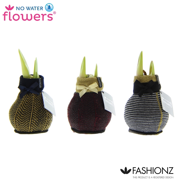 <h4>No Water Flowers® Fashionz Elegant</h4>