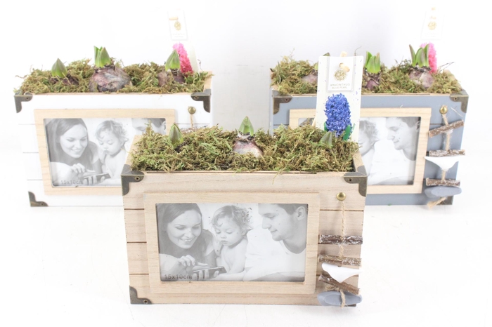 <h4>arr4 Hyacint FL - Photo booth</h4>