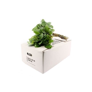 DEC SALAL
