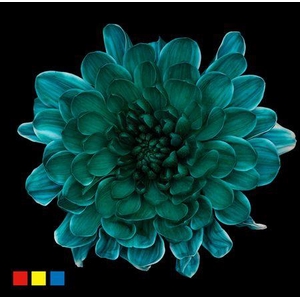 Chr T Altaj Ocean Green