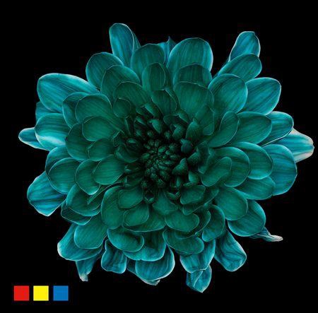 <h4>Chr T Altaj Ocean Green</h4>