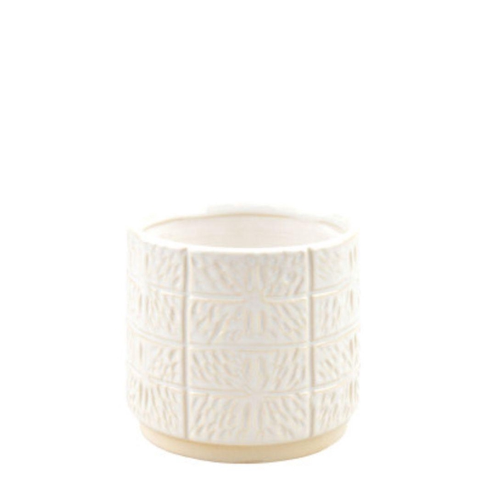 <h4>Celine pot d12*11cm</h4>
