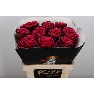 Wax-Rozen Wax Wit  Zilver glitter