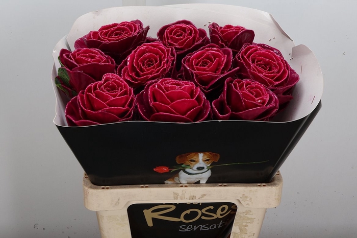 <h4>Wax-Rozen Wax Wit  Zilver glitter</h4>