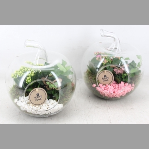 arr2 PL - Glazen appel 338/3 - roze/wit