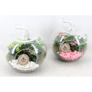 arr2 PL - Glazen appel 338/3 - roze/wit