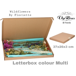 DRIED LETTERBOX MULTI