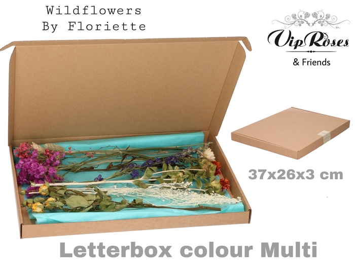 DRIED LETTERBOX MULTI