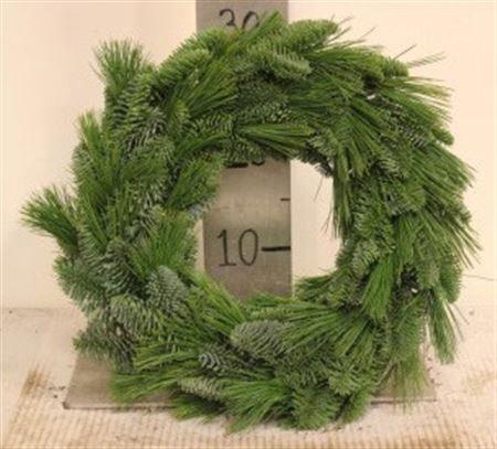 Wr Nobilis Christmas Breeze 30cm