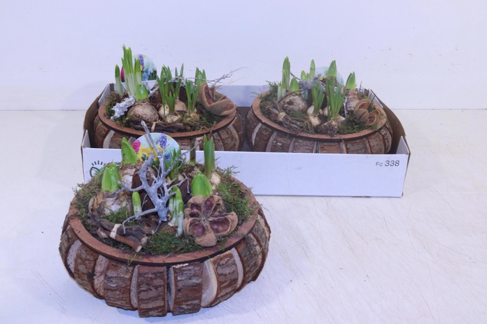 <h4>ARR BOL KNOLGEWAS</h4>