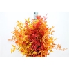 Ruscus Preserved Autum Mix