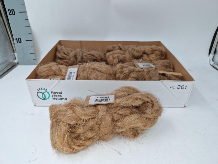 <h4>SISAL TOUW H%</h4>