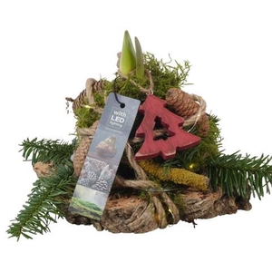 PTACH5878 Arrangementen Kerst