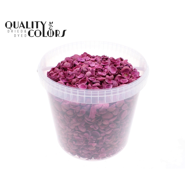 <h4>Shells north sea 10 ltr Cerise</h4>