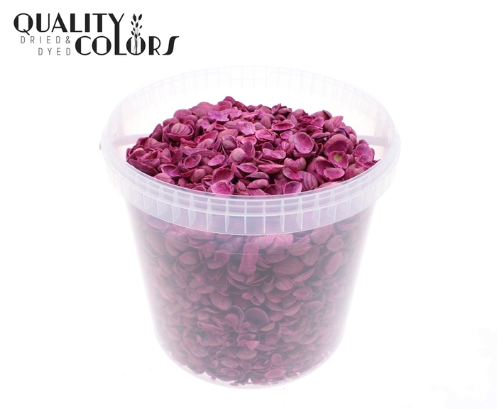 Shells north sea 10 ltr Cerise