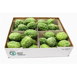 Sier Cucumis Luffa Grey X4 Holl
