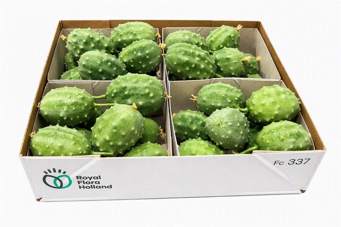 <h4>Sier Cucumis Luffa Grey X4 Holl</h4>