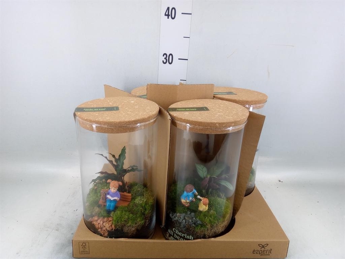 <h4>Arr.    Planten  H%</h4>