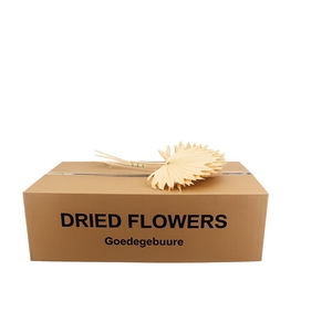 DROOGBL BEWERKT H%
