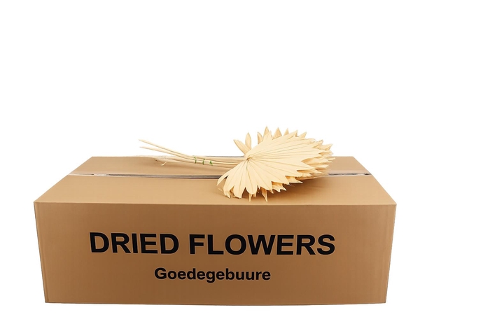 <h4>DROOGBL BEWERKT H%</h4>