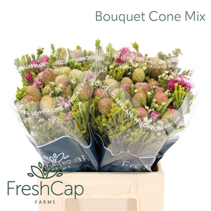 Bouquet Cone Mix