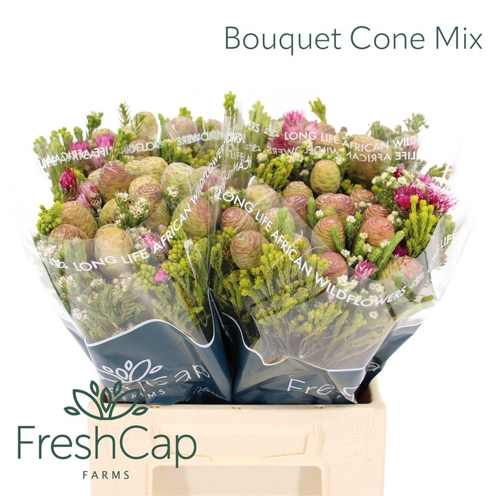 Bouquet Cone Mix