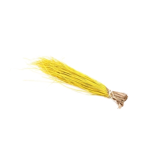 Beargrass Yellow