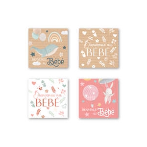 Bienvenue au bébé 3046472F