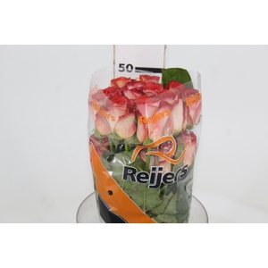 ROSA LEONIDAS 050 CM ESTUFA