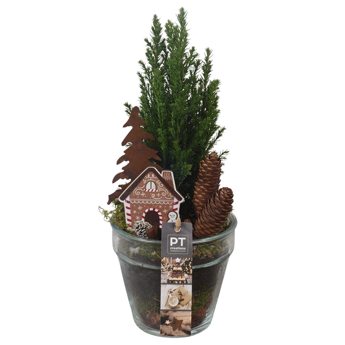 <h4>Arr. Kerst L%</h4>