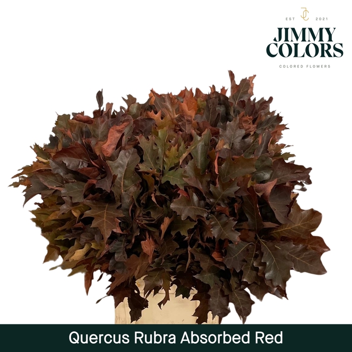 <h4>Absorbed Quercus Rubra L80 Red</h4>