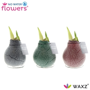 No Water Flowers Waxz® Marble