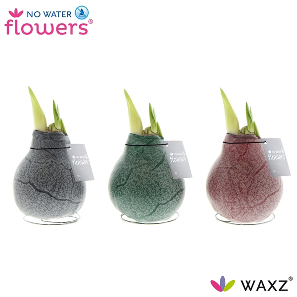 <h4>No Water Flowers Waxz® Marble</h4>