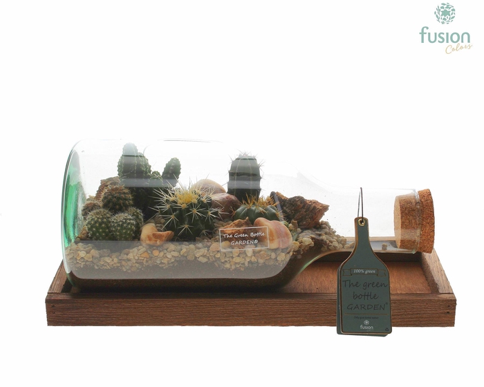 <h4>Green Bottle Fles Small liggend met Cactussen</h4>